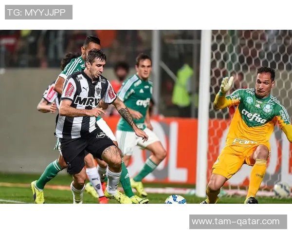 格拉茨风暴与海洋的激烈对决揭示了力量与自然的碰撞之美